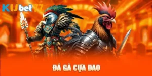 Đá gà cựa dao BET88 - Chinh phục siêu phẩm chọi kê đặc sắc